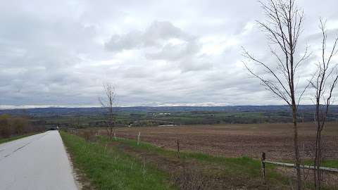 Top Meadow Farms